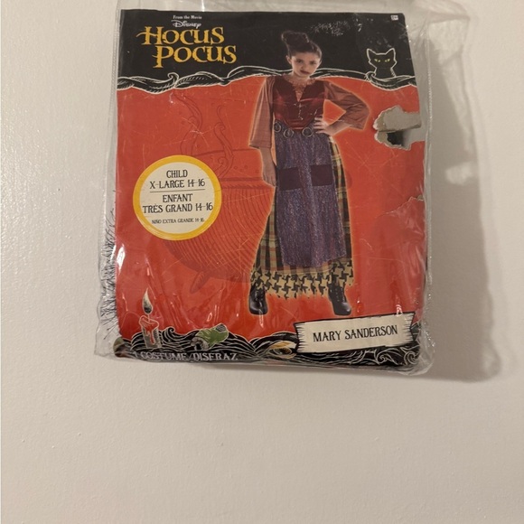 Mary Sanderson Hocus Pocus Kids Costume XLarge NWT - Picture 2 of 4